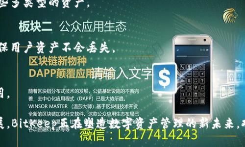   BitKeep是什么？了解其背景和功能 / 

 guanjianci BitKeep, 数字钱包, 加密货币, 杂币交易, DeFi /guanjianci 

随着区块链技术的快速发展，数字资产的管理与存储变得越来越重要。BitKeep作为一个多链数字钱包，致力于为用户提供安全、便捷的资产管理服务。本文将对BitKeep进行详细介绍，包括其背景、功能、使用方法以及与其他数字钱包的比较等，以帮助用户更好地理解这一创新工具。

BitKeep的背景与发展历程
BitKeep成立于2018年，是一家专注于数字资产管理的科技公司。自成立以来，BitKeep便专注于打造一个集成化、多功能的数字钱包，旨在为用户提供安全、便捷的数字资产管理服务。随着DeFi（去中心化金融）和NFT（非同质化代币）的兴起，BitKeep不断更新和升级其功能，以满足用户日益增长的需求。

在短短几年内，BitKeep已经通过多项技术创新和用户体验快速赢得了市场的信任，目前已拥有超过500万的用户。它支持多种区块链资产，包括以太坊、比特币、币安智能链等，实现了跨链交换和资产管理的便捷性。根据Chainalysis的数据，BitKeep在多个地区的用户增长率名列前茅，并且在全球范围内获得了巨大的用户基础。

BitKeep的主要功能
BitKeep作为一个全面的数字钱包，提供了多种功能，满足用户不同的需求。以下是其主要功能的详细介绍：

h4多链支持/h4
BitKeep支持比特币、以太坊、币安智能链等主流区块链，用户可以在同一个钱包中管理和交易多种资产。这种多链支持使得用户不必再为不同的数字货币下载多个钱包，极大地方便了资产的集中管理。

h4去中心化交易所集成/h4
BitKeep内置了去中心化交易所（DEX），用户可以直接在钱包中进行资产交易。这种集成的方式省去了用户在不同平台之间切换的麻烦，同时也保障了交易的安全性和匿名性。

h4趣味盲盒与NFT市场/h4
随着NFT热潮的兴起，BitKeep在其平台上推出了趣味盲盒功能，允许用户购买隐藏的数字资产，并在打开后揭晓具体内容。此外，BitKeep还提供了NFT市场，用户可以方便地浏览、购买和出售各种数字藏品。

h4安全性与隐私保护/h4
安全性是数字钱包的关键。BitKeep采用多重加密技术，确保用户资产安全，私钥由用户自己掌握，不会被存储在服务器上。此外，BitKeep提供了双重验证功能，为用户的账户安全提供额外的保护。

如何使用BitKeep
使用BitKeep的过程相对简单，用户只需按照以下几个步骤即可完成钱包的创建和使用：

h4下载与安装/h4
用户可以根据自己的设备类型在官方网站或应用商店下载BitKeep。安装完成后，用户需要创建一个新钱包或导入现有钱包。

h4创建新钱包/h4
以创建新钱包为例，用户需要设置一个安全密码，并备份恢复助记词。在此过程中，养成打印或安全保存助记词的习惯非常重要，因为这关系到钱包的恢复及安全。

h4进行资产管理/h4
创建完成后，用户可以通过“资产”功能查看自己的余额和管理数字资产。同时，用户可以通过“交易”功能进行买卖操作。通过集成的去中心化交易所，交易流程简单明了。

与其他数字钱包的比较
在当前市场上，存在多种数字钱包，BitKeep在功能及用户体验上有哪些独特之处呢？以下是与一些主流数字钱包的比较：

h4与MetaMask的对比/h4
MetaMask作为最流行的以太坊钱包之一，主要支持以太坊及其代币的管理。与MetaMask相比，BitKeep的多链支持使得用户能够管理更多的数字资产。此外，BitKeep的去中心化交易所集成功能也让用户无需离开钱包就能进行交易。

h4与Trust Wallet的对比/h4
Trust Wallet是币安推出的数字钱包，其特点是用户友好及支持大量的代币。相比之下，BitKeep在用户体验的流畅性和操作简单性上表现尤为突出，同时在NFT和盲盒交易方面也有着独特的优势。

常见问题解答

h41. BitKeep是如何保证资产安全的？/h4
BitKeep采用多重加密技术，确保用户的资产安全。如果用户采用了双重验证，账户的安全性将进一步提升。此外，用户的私钥完全保存在本地设备中，没有数据发送至服务器，极大降低了被攻击的风险。

h42. BitKeep支持哪些类型的数字资产？/h4
目前，BitKeep支持主流的数字资产，如比特币、以太坊、币安智能链以及ERC20和BEP20代币。用户可以在同一个钱包内方便地管理和交易这些多类型的资产。

h43. 如何恢复BitKeep钱包？/h4
若用户由于某种原因需要恢复钱包，可以通过此前备份的助记词进行恢复。在登录界面选择“恢复钱包”选项，输入助记词后即可恢复钱包，确保用户资产不会丢失。

h44. BitKeep的费用结构是怎样的？/h4
在使用BitKeep进行交易时，用户需支付网络费用，但平台本身不收取额外的费用。用户可以根据市场情况选择适当的交易时间，以便节省费用。

综上所述，BitKeep作为一个创新的多链数字钱包，为用户提供了一整套安全、便捷的数字资产管理解决方案。通过持续的技术研发与市场拓展，BitKeep正在塑造数字资产管理的新未来。欢迎广大用户体验并利用BitKeep的多种功能，实现他们的金融自由与发展的可能性。