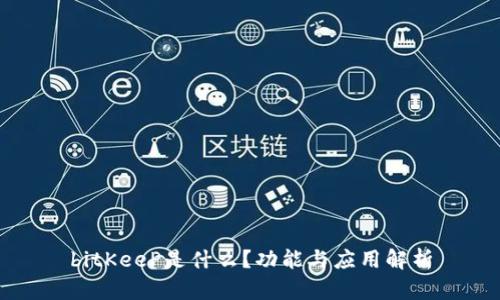 bitKeeP是什么？功能与应用解析