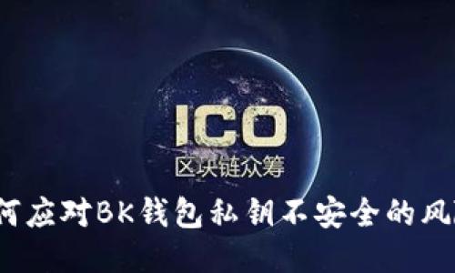 如何应对BK钱包私钥不安全的风险？