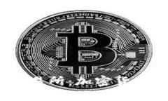 深入了解Tokok交易所：加密货币交易平台的崛起