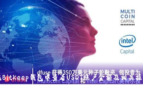   
如何在BitKeep钱包中查看USDT账户金额及相关操作指南