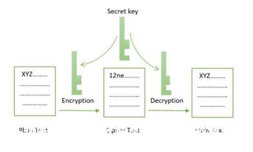 比特派钱包自动释放币的时间和机制解析