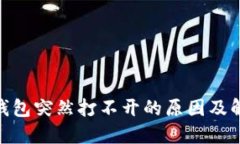 BitPie钱包突然打不开的原因及解决方案