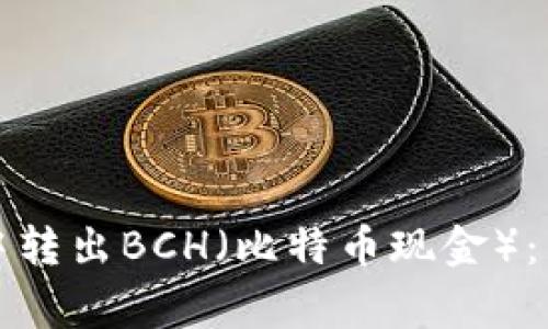 如何在比特派钱包中转出BCH（比特币现金）：详细步骤与注意事项