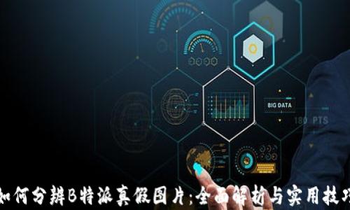 
如何分辨B特派真假图片：全面解析与实用技巧