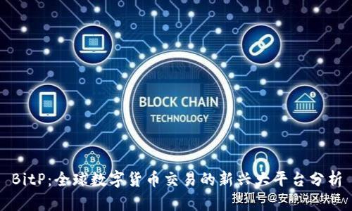 BitP：全球数字货币交易的新兴大平台分析