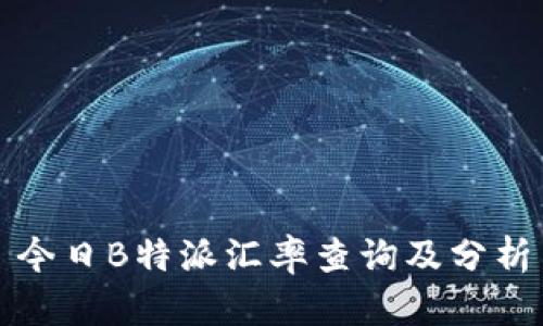 今日B特派汇率查询及分析