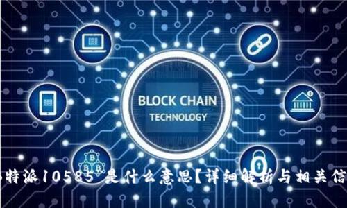 “B特派10585”是什么意思？详细解析与相关信息