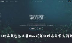 jigoub特派钱包怎么转USDT？详细指南与常见问题解