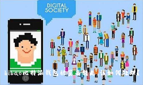 bibao比特派钱包被莫名转走，该如何处理？