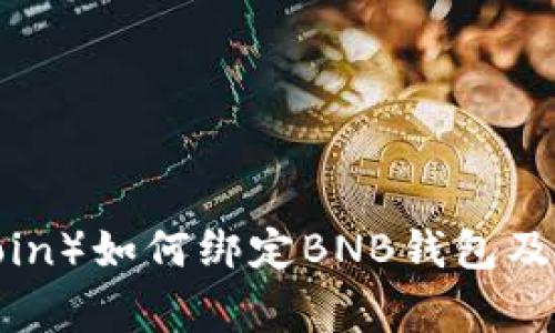 冰币（Bing Coin）如何绑定BNB钱包及查看方法详解