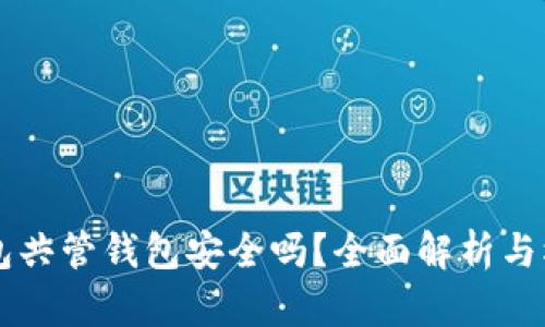 币信钱包共管钱包安全吗？全面解析与权威建议