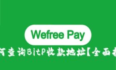 如何查询BitP收款地址？全面指南