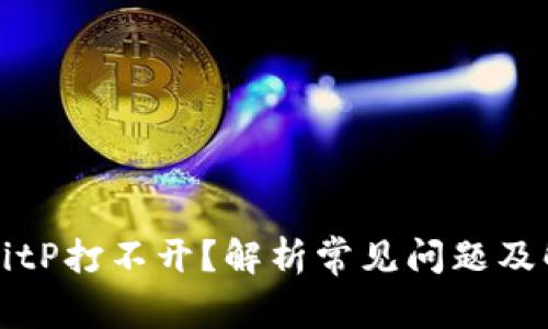 为什么BitP打不开？解析常见问题及解决方案