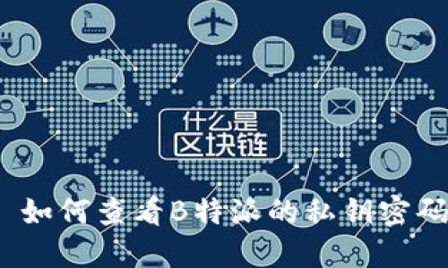 : 如何查看B特派的私钥密码？