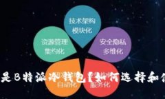 什么是B特派冷钱包？如何选择和使用？