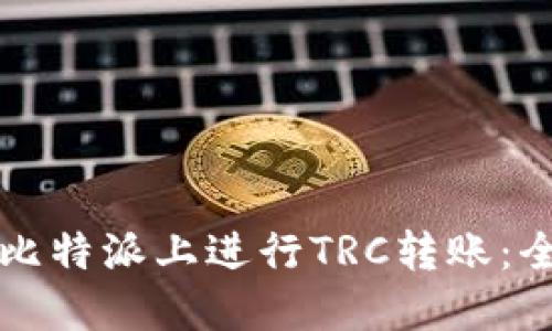 如何在比特派上进行TRC转账：全面指南