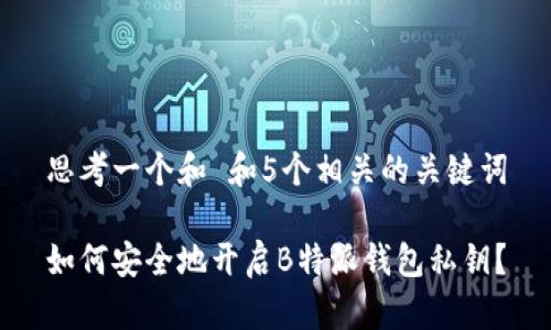 思考一个和 和5个相关的关键词

如何安全地开启B特派钱包私钥？