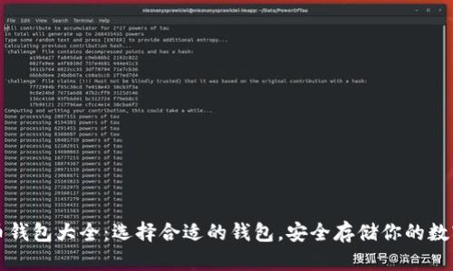 比特币钱包大全：选择合适的钱包，安全存储你的数字资产