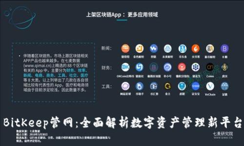BitKeep管网：全面解析数字资产管理新平台