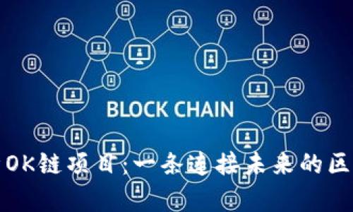 深入解析OK链项目：一条连接未来的区块链之路