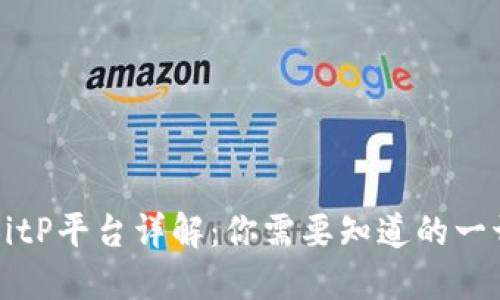 BitP平台详解：你需要知道的一切