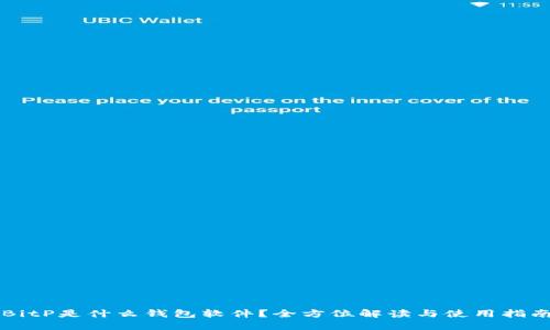 BitP是什么钱包软件？全方位解读与使用指南