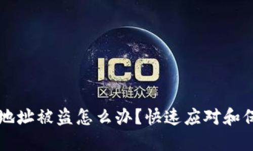 虚拟币钱包地址被盗怎么办？快速应对和保护措施详解