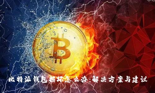 比特派钱包损坏怎么办：解决方案与建议