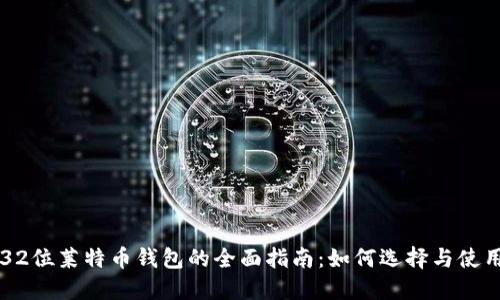 32位莱特币钱包的全面指南：如何选择与使用