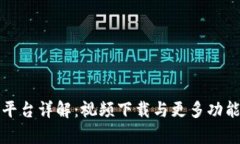 BitP平台详解：视频下载与更多功能解析