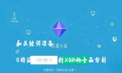 和关键词准备B特派为何不支持XRP的全面分析