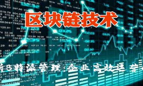 全面解析B特派管理：企业高效运营的新模式