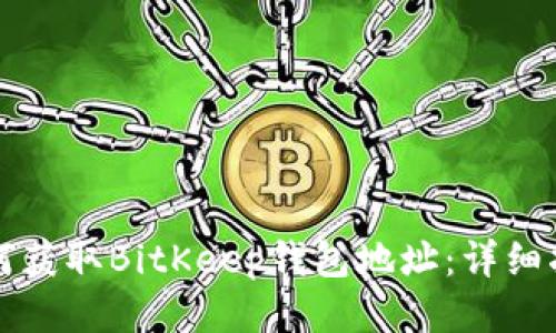 如何获取BitKeep钱包地址：详细指南